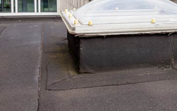disadvantages of Tremethick Cross flat roofs