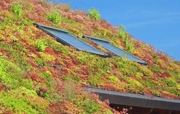 Tremethick Cross living roof systems